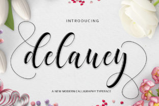 Delaney: A Modern Script Font for Scroll-Stopping Marketing