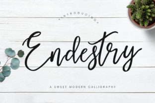 Endestry: A Refined Script for Real Design Work