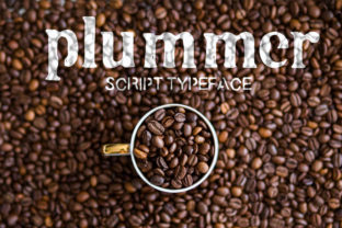 Plummer: A Retro-Inspired Display Font for Digital Branding
