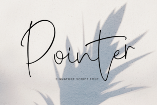 Pointer: A Confident Script with Precision