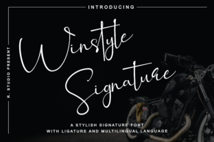 Winstyle Signature: A Designer’s Real-World Review